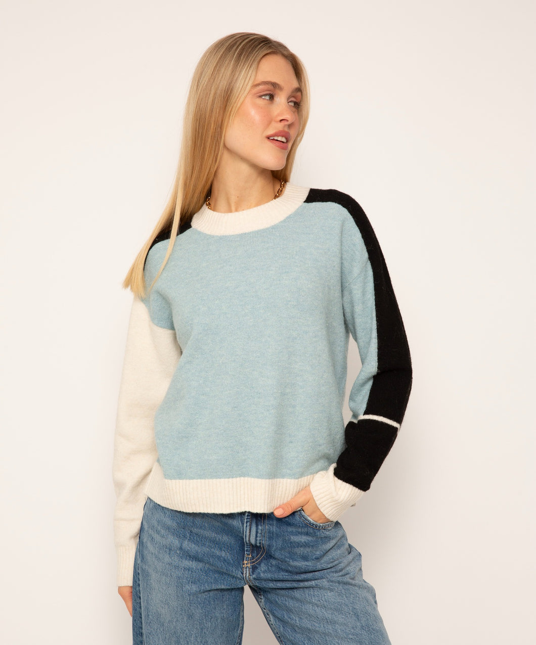 Billie Blocked Crew Neck Sweater by Central Park West