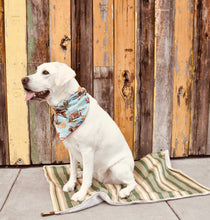 Load image into Gallery viewer, Vintage Cowboy Bandana

